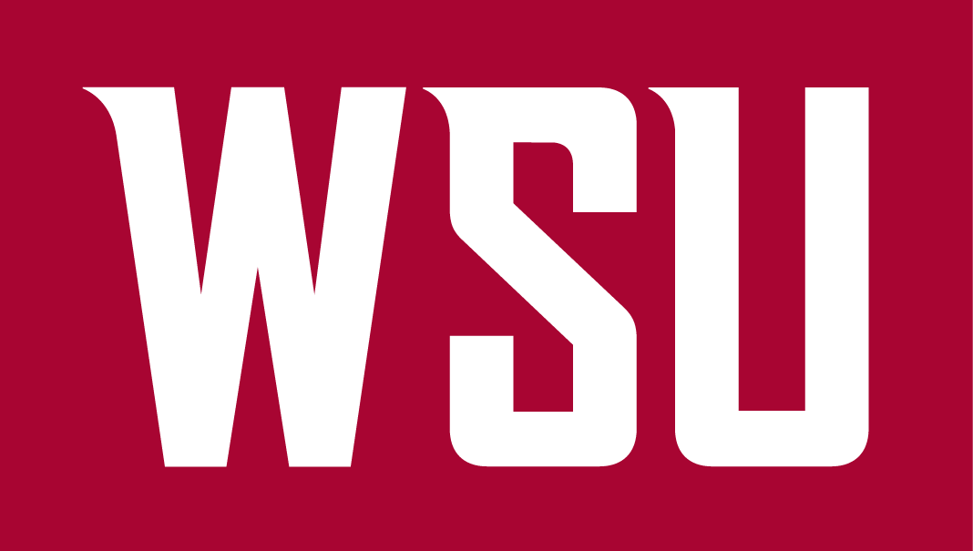 Washington State Cougars 2011-Pres Wordmark Logo v3 diy iron on heat transfer